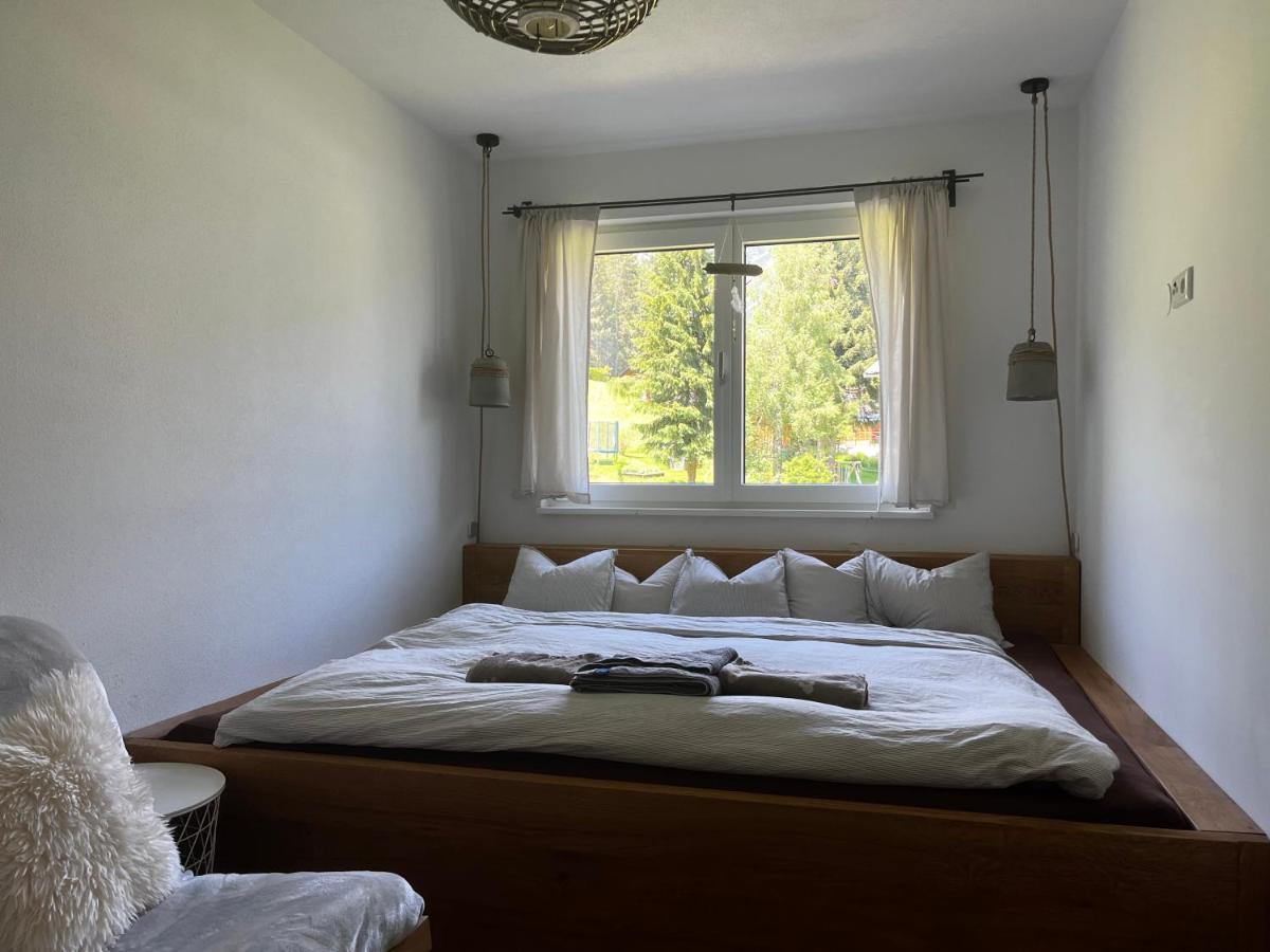 Jara Apartment- Ramsau Am Dachstein Εξωτερικό φωτογραφία