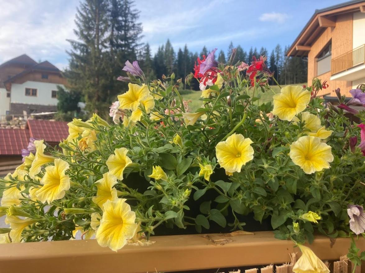 Jara Apartment- Ramsau Am Dachstein Εξωτερικό φωτογραφία